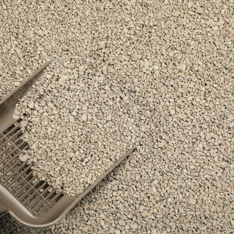 Pet waste services in Fort Collins, CO