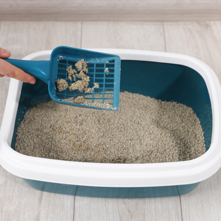 Pet waste services in Fort Collins, CO Pet waste services in Fort Collins, CO