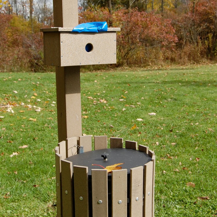 Pet waste services in Fort Collins, CO