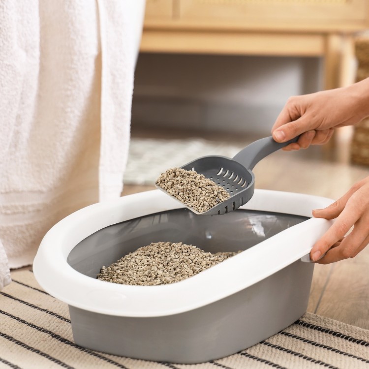 Pet waste services in Fort Collins, CO Pet waste services in Fort Collins, CO